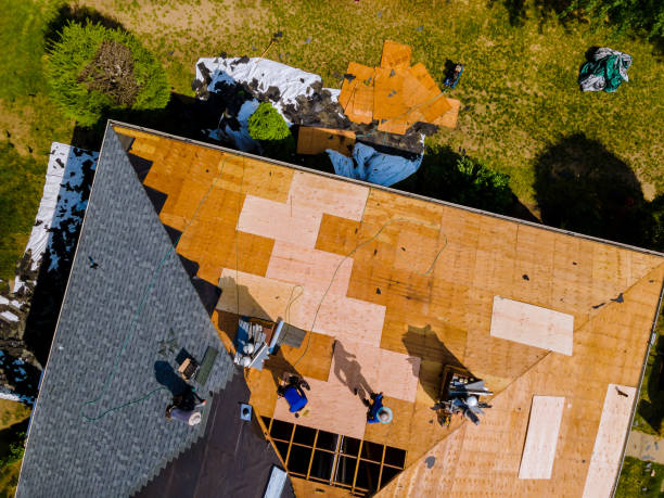 Best Roof Leak Repair  in Syracuse, KS